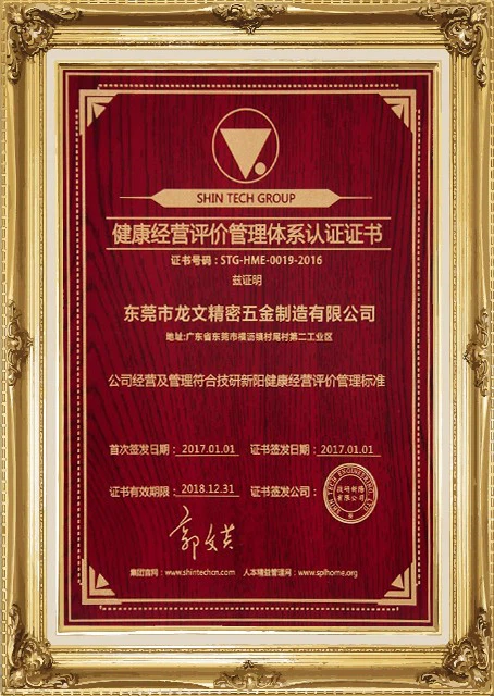 Management System Certification